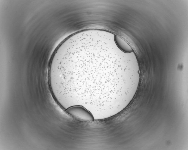 X0000093391092200711011305