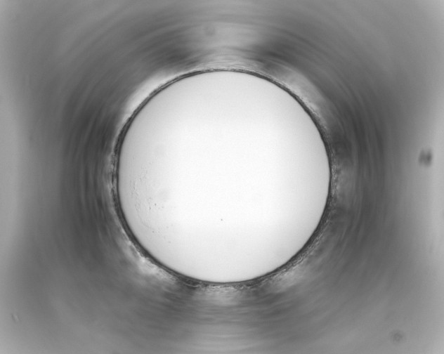 X0000093391094200711011305