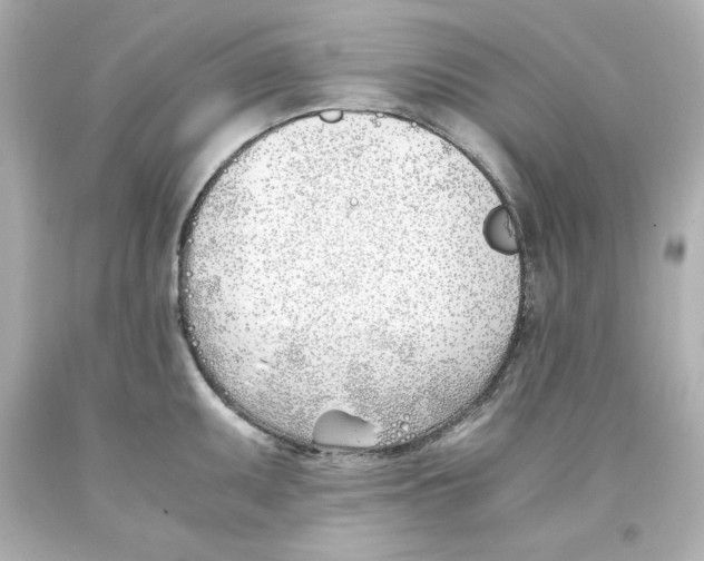 X0000093391095200711011305