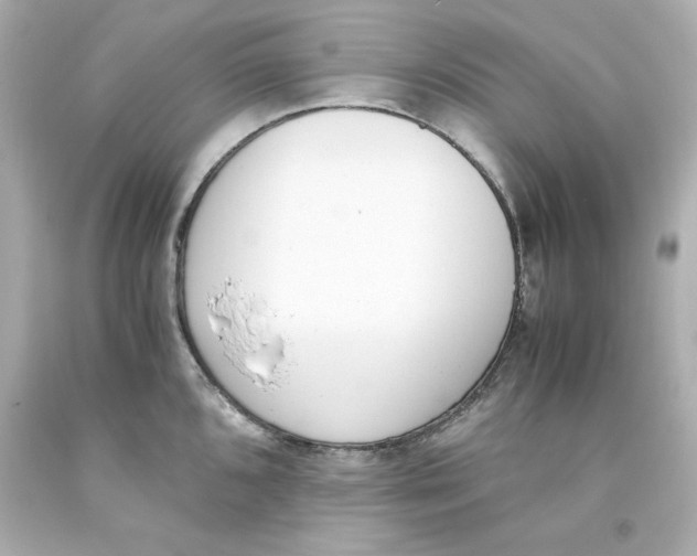 X0000093391096200711011305