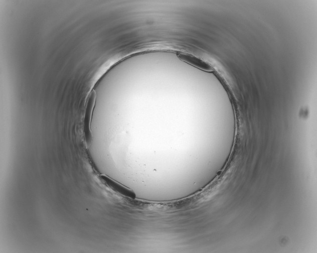 X0000093391097200711011305