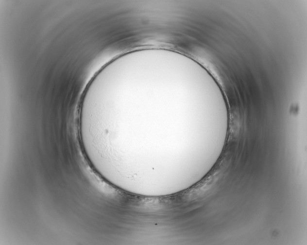 X0000093391098200711011305