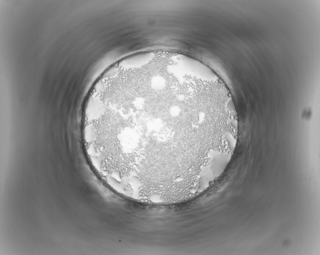 X0000093391099200711011305