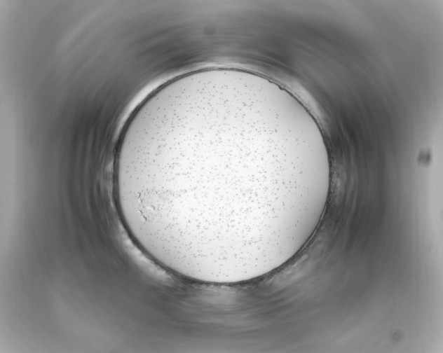 X0000093391100200711011305