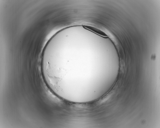 X0000093391102200711011305