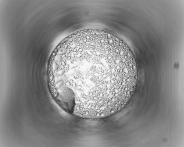 X0000093391103200711011305