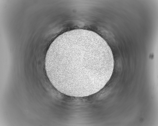 X0000093391105200711011305