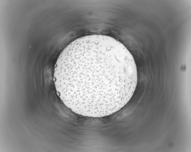 X0000093391106200711011305