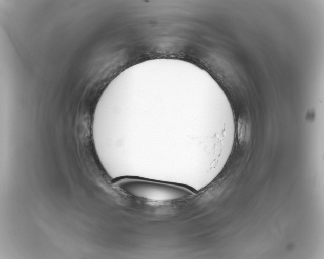 X0000093391107200711011305