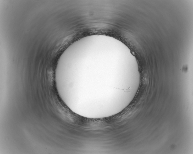 X0000093391108200711011305