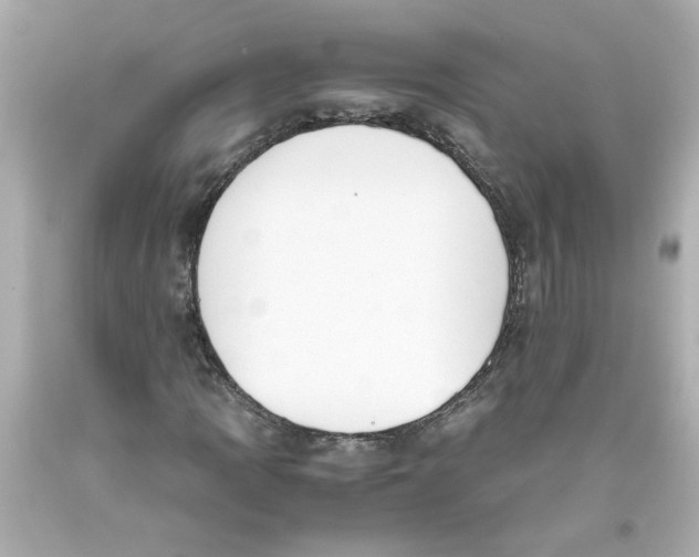 X0000093391109200711011305