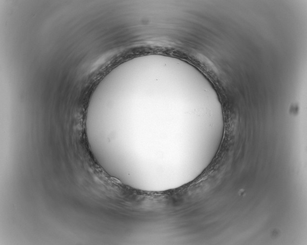 X0000093391110200711011305