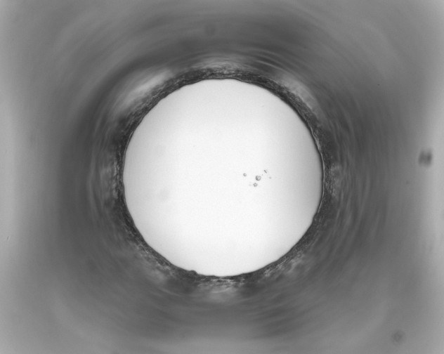 X0000093391111200711011305