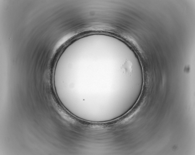 X0000093391114200711011305