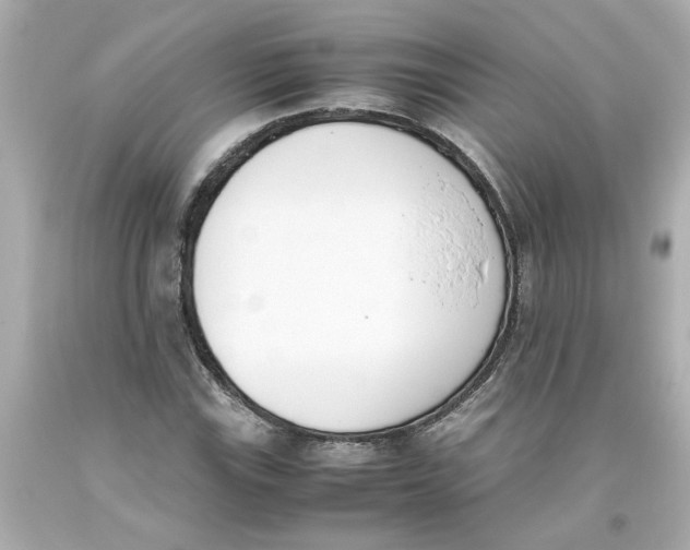 X0000093391115200711011305