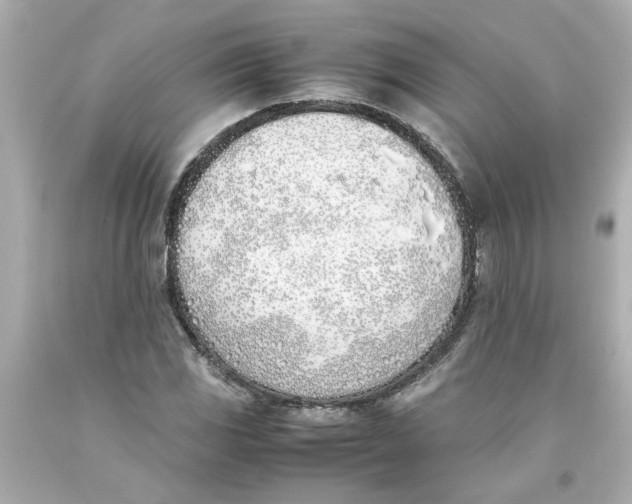 X0000093391117200711011305