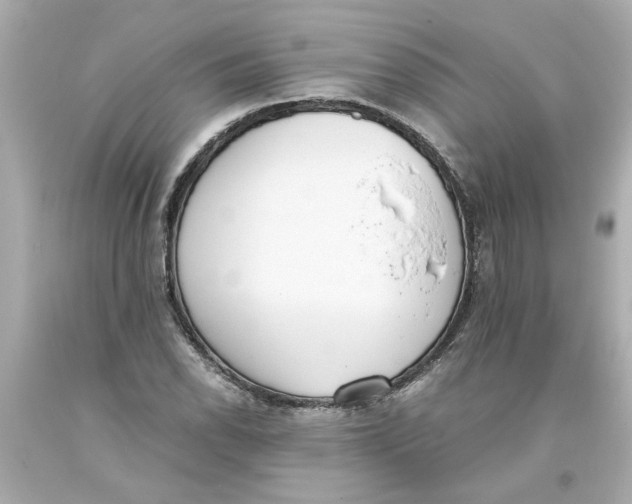 X0000093391118200711011305