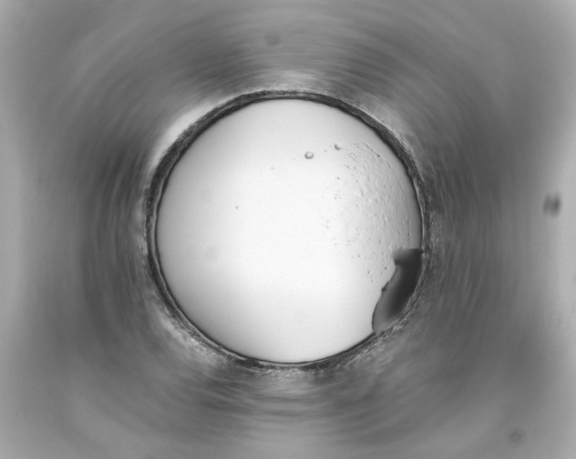 X0000093391120200711011305