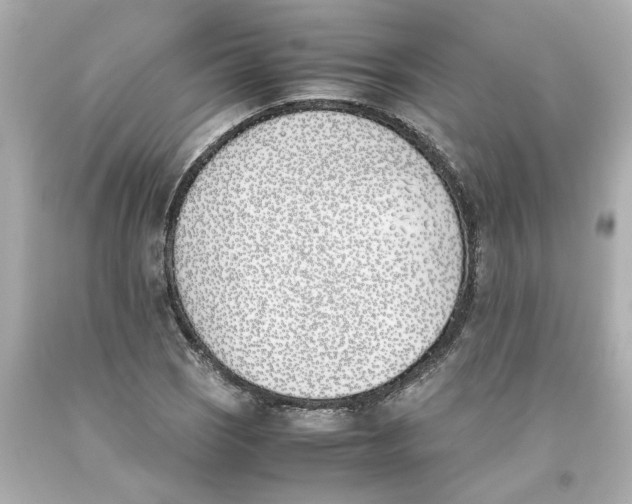 X0000093391121200711011305