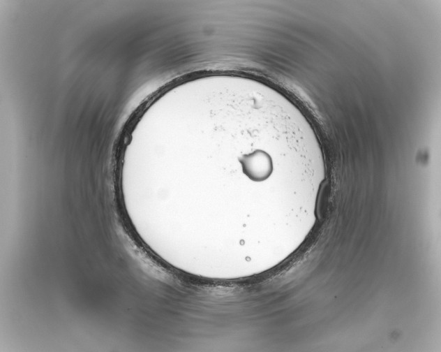 X0000093391122200711011305