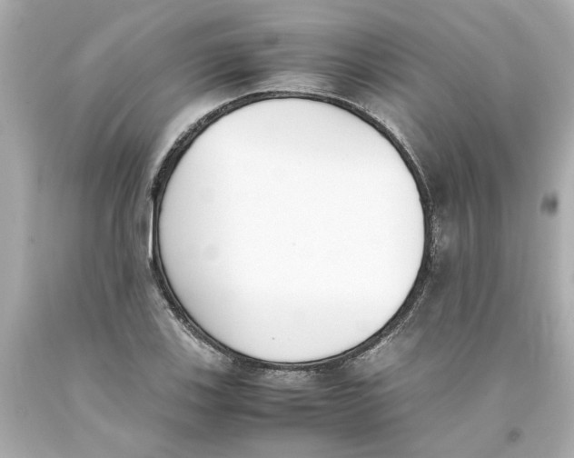 X0000093391123200711011305