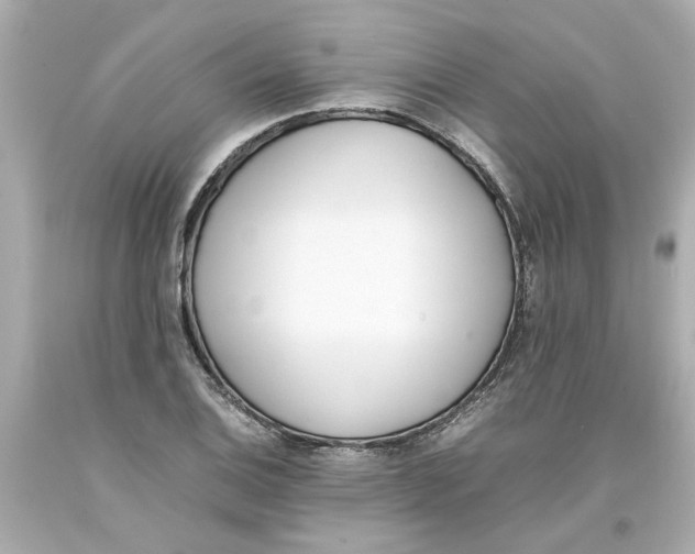 X0000093391124200711011305