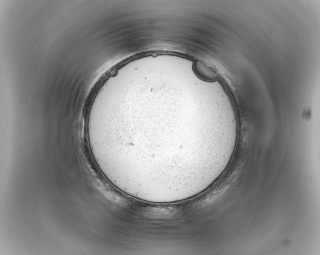 X0000093391125200711011305