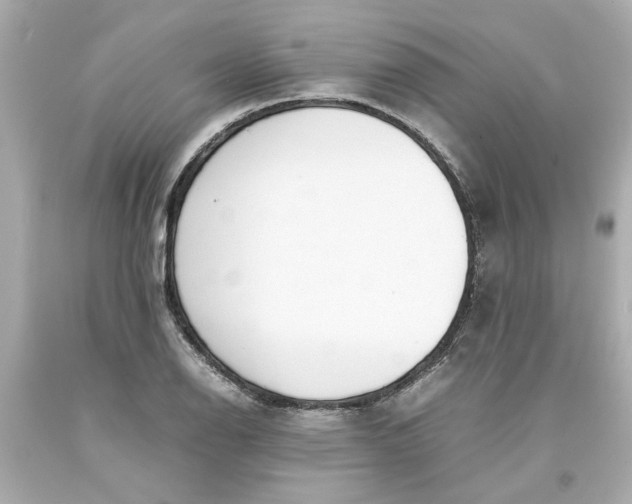 X0000093391126200711011305