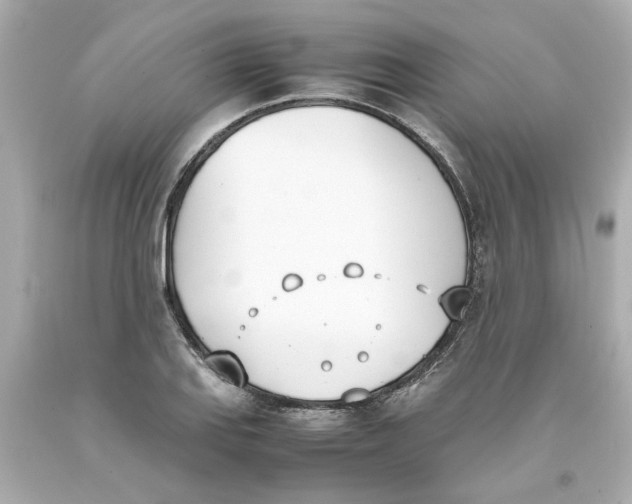 X0000093391127200711011305