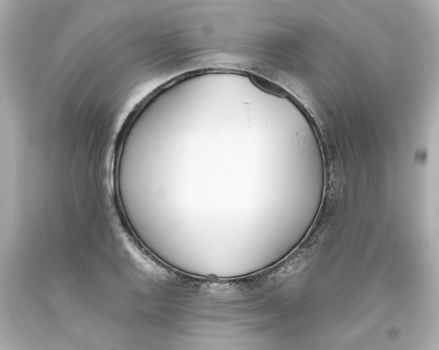 X0000093391128200711011305