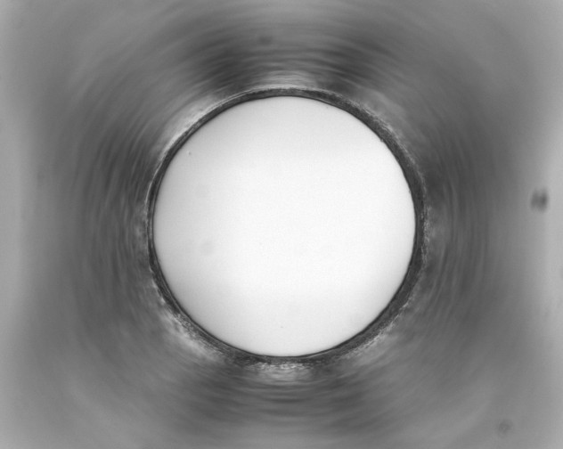 X0000093391129200711011305