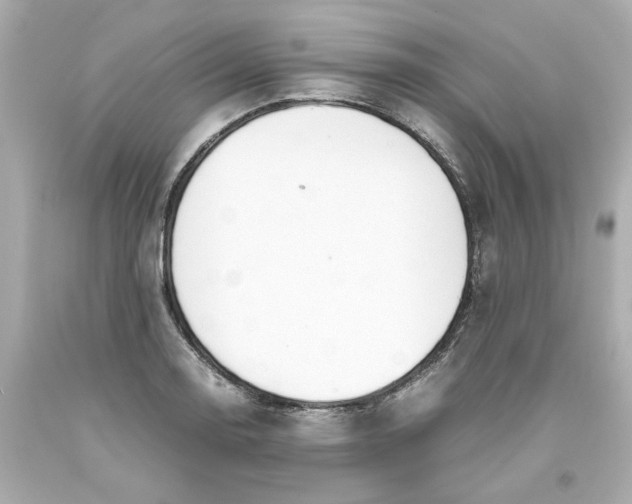 X0000093391130200711011305