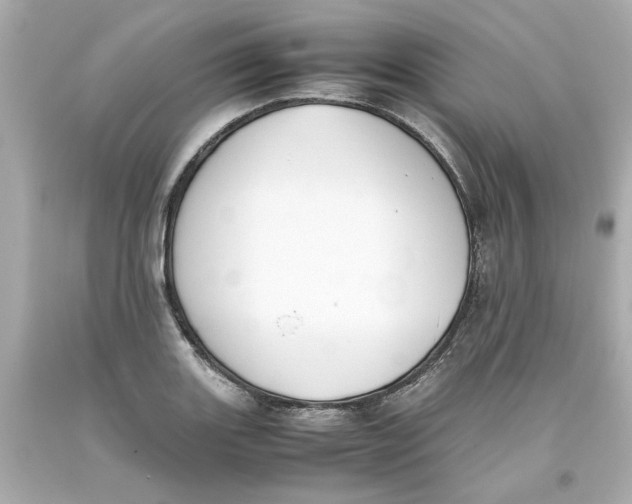 X0000093391131200711011305