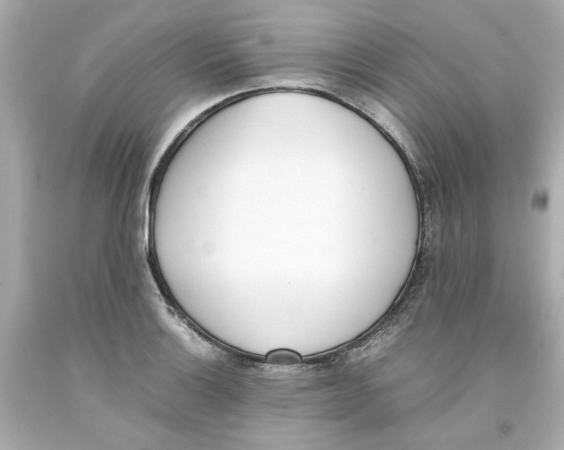 X0000093391132200711011305