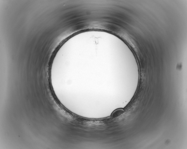 X0000093391133200711011305