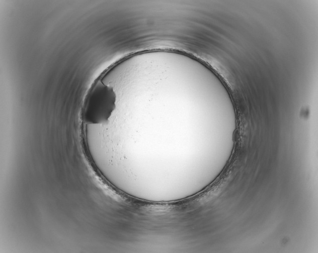 X0000093391134200711011305