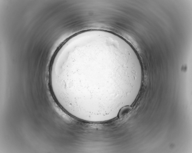 X0000093391136200711011305