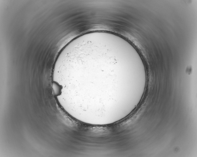 X0000093391137200711011305