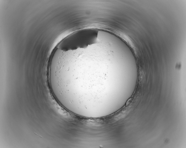 X0000093391138200711011305