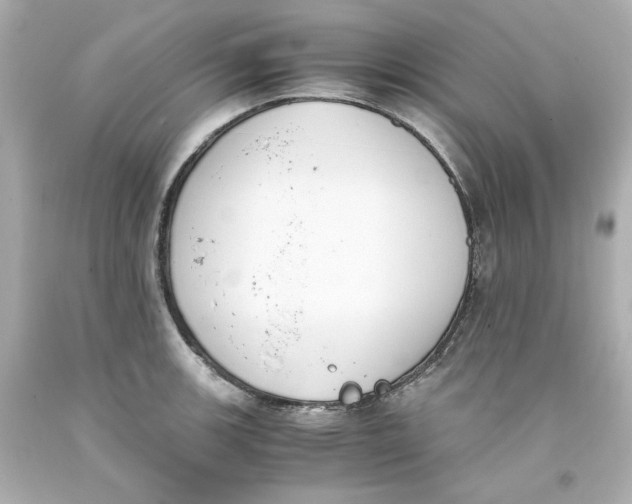 X0000093391139200711011305