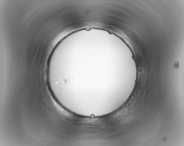 X0000093391143200711011305