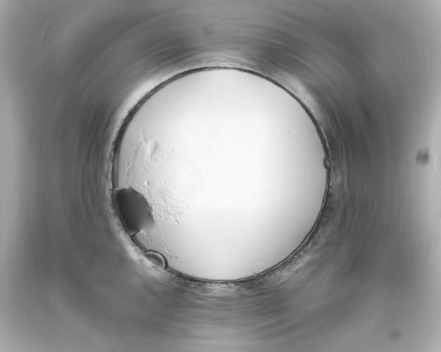 X0000093391144200711011305