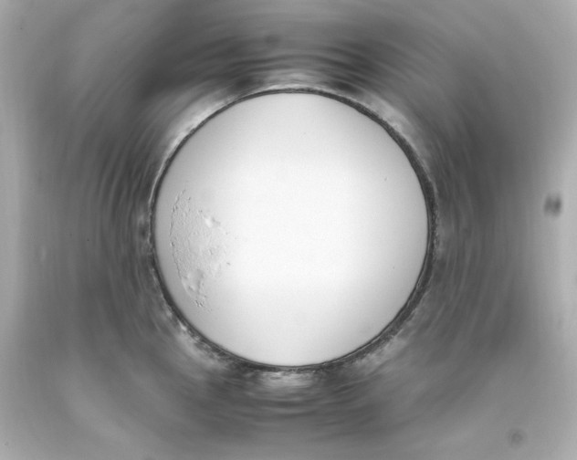 X0000093391145200711011305