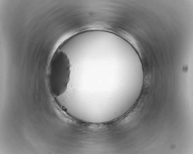 X0000093391146200711011305