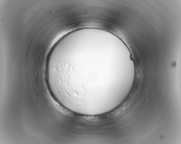 X0000093391147200711011305