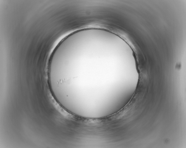 X0000093391148200711011305