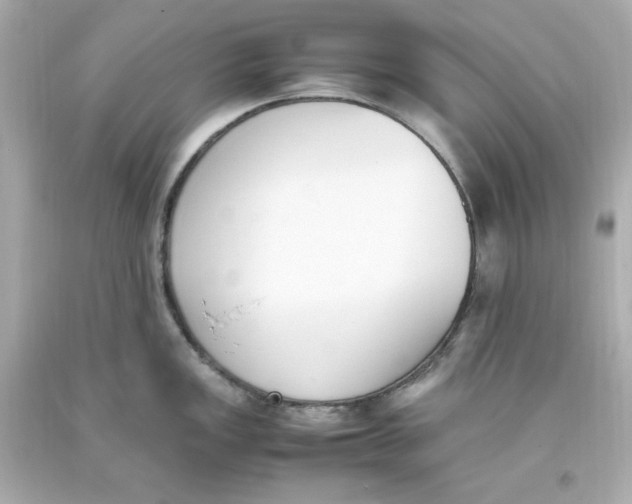 X0000093391149200711011305