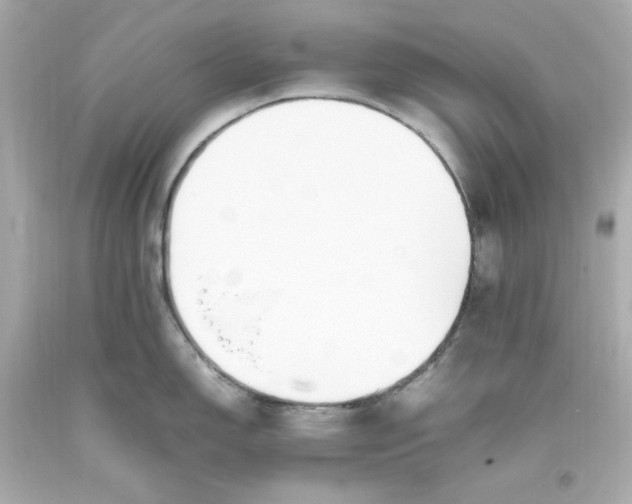 X0000093391150200711011305