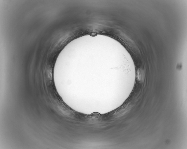 X0000093391155200711011305