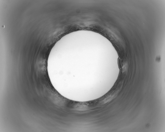 X0000093391156200711011305